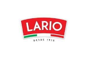 modelo-lario.jpg